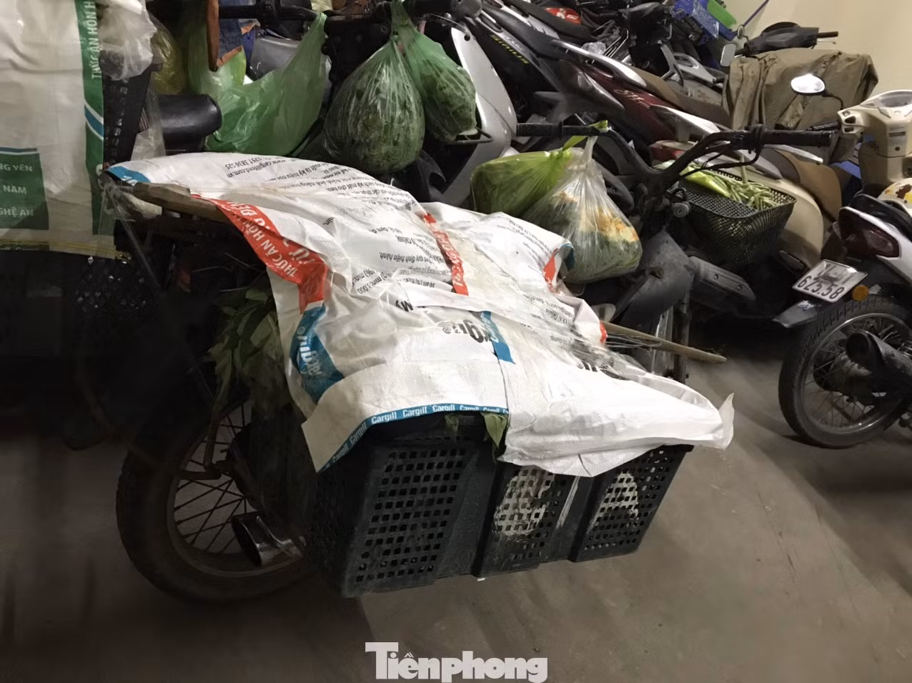 Mới nhất vụ Phó Chủ tịch phường xúc phạm người bán rau 'Con điên này!' ảnh 4