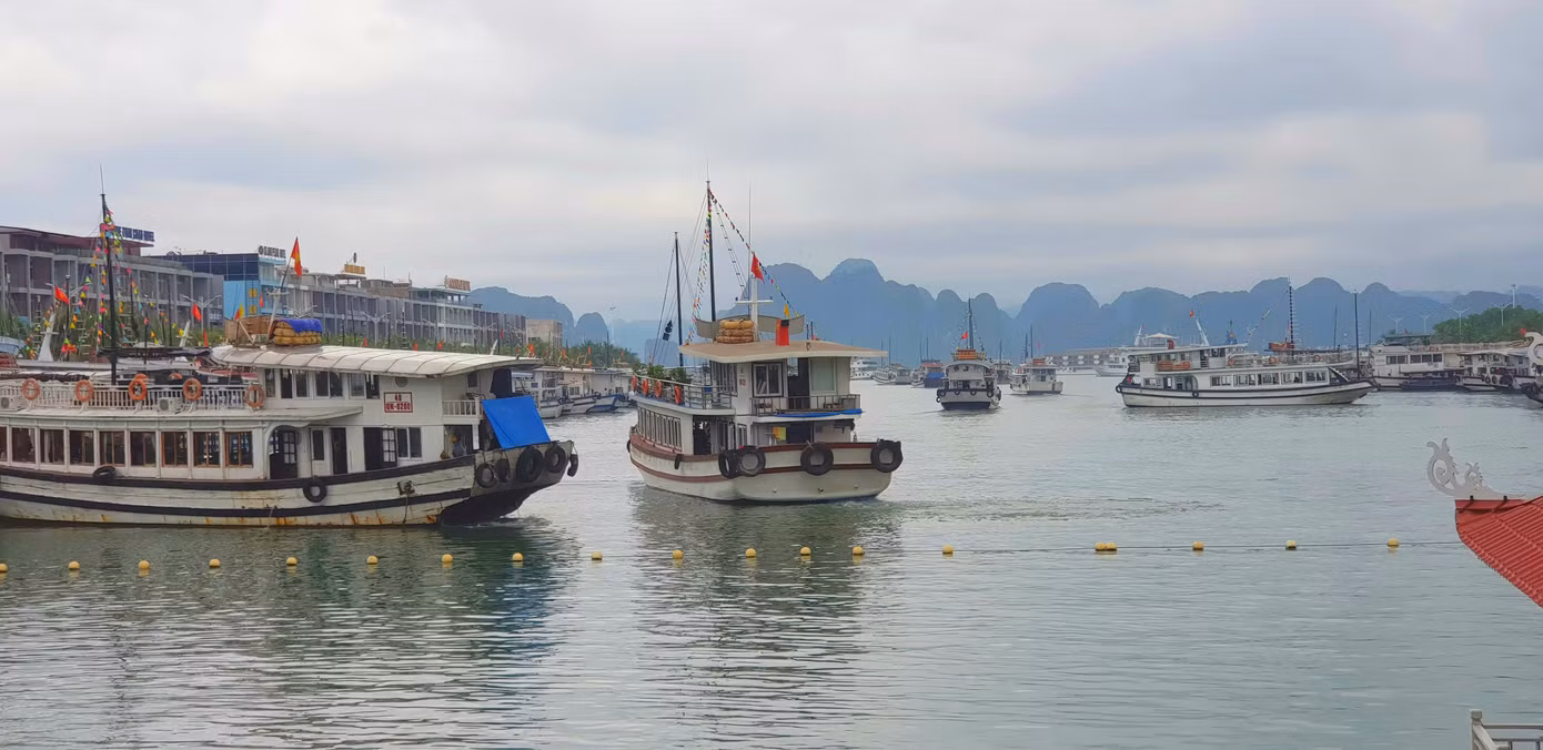 Vịnh Hạ Long: Phí liên tục tăng 'ngất ngưởng', chất lượng dịch vụ 'giậm chân' ảnh 3