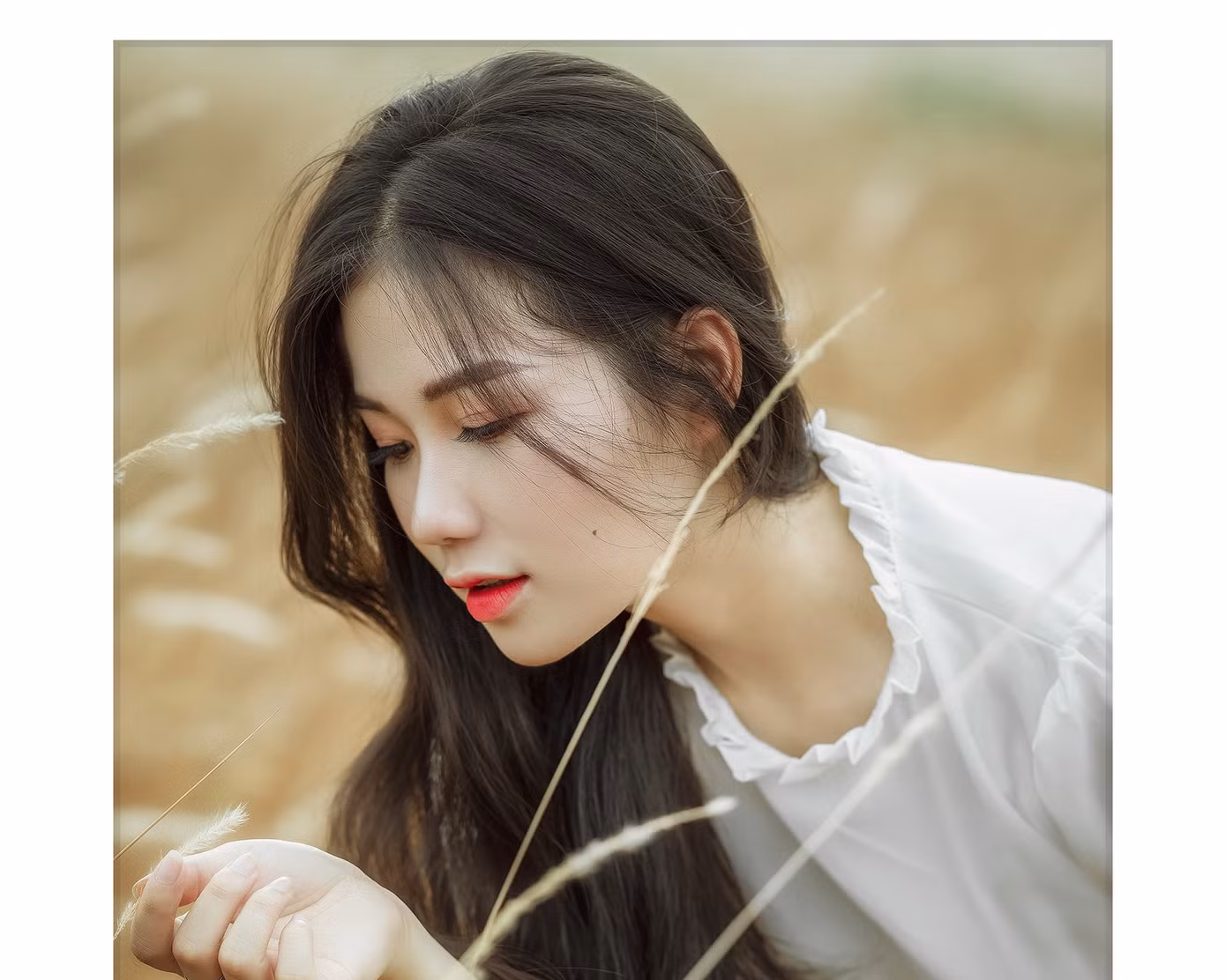 Mọi nỗ lực hôm nay đều mở đường cho những vinh quang phía trước! ảnh 21
