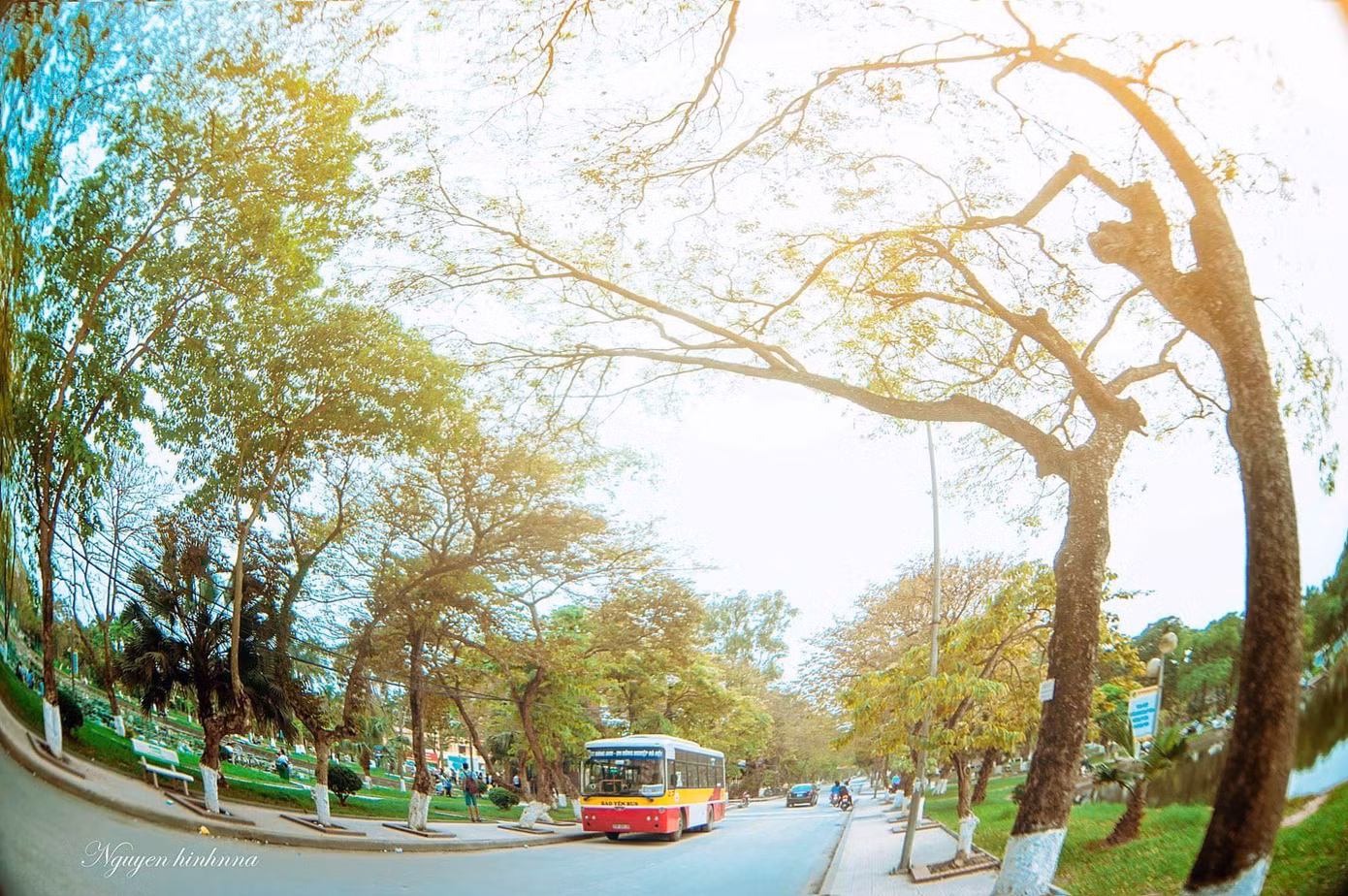 Học viện Nông nghiệp Việt Nam - nơi viết tiếp câu chuyện tuổi trẻ của bao thế hệ sinh viên ảnh 2