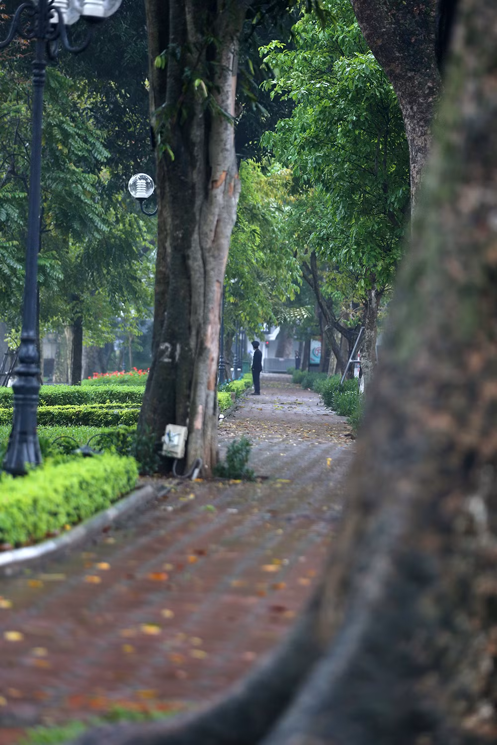 Ngày thứ 3 'cách ly toàn xã hội', hồ Hoàn Kiếm vắng bóng người tập thể dục ảnh 10