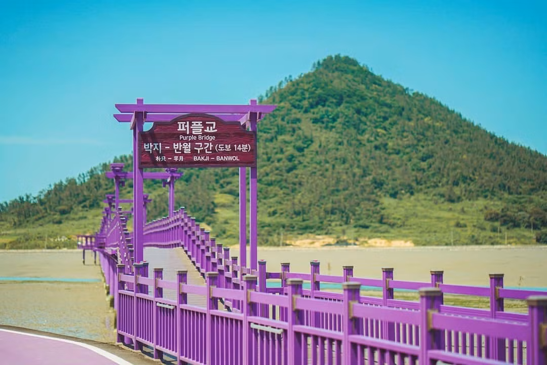 Có gì hấp dẫn ở đảo Banwol - hòn đảo “tím lịm tìm sim” ở phía Nam Hàn Quốc? ảnh 7