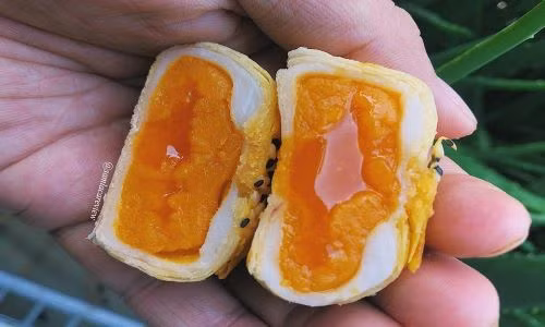 20 cuốn sách du lịch truyền cảm hứng mà bất cứ cô gái nào mê dịch chuyển cũng nên đọc ảnh 6