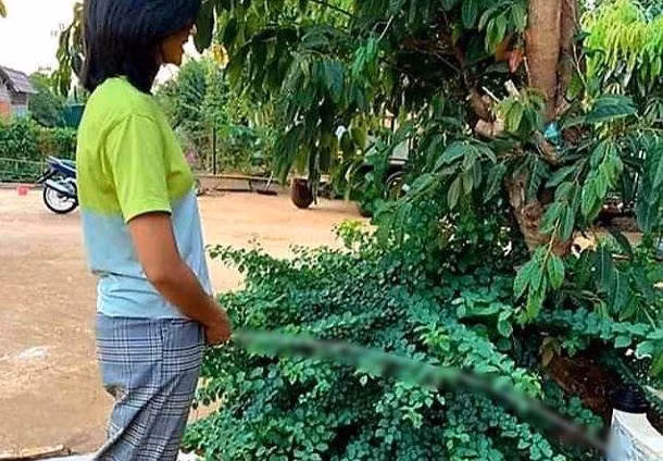 Mẫu nội y khoe ba vòng 'bốc lửa', khiến cánh mày râu 'điên đảo' ảnh 13 Mẫu nội y khoe ba vòng 'bốc lửa', khiến cánh mày râu 'điên đảo' ảnh 13