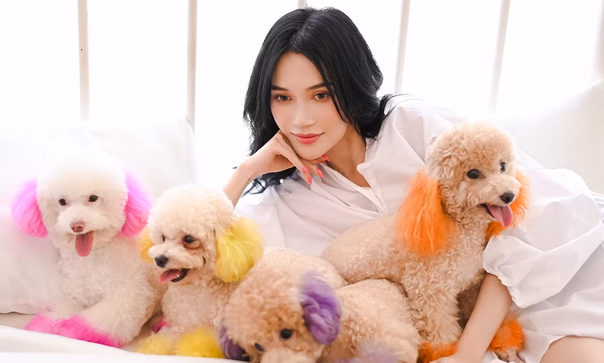 Người đàn ông bí ẩn bán thuốc ngủ, chất cấm cho nam ca sĩ đình đám Wheesung đã bị kết án ảnh 4