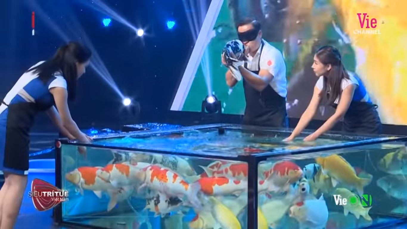 Bất ngờ màn trình diễn hơn 8 tỷ đồng của ‘vua cá koi’ ở 'Siêu trí tuệ Việt Nam' ảnh 4