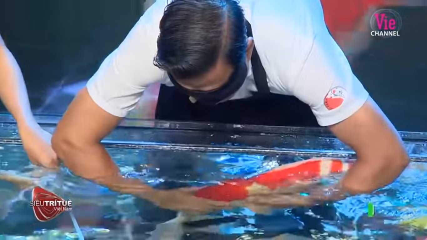 Bất ngờ màn trình diễn hơn 8 tỷ đồng của ‘vua cá koi’ ở 'Siêu trí tuệ Việt Nam' ảnh 2