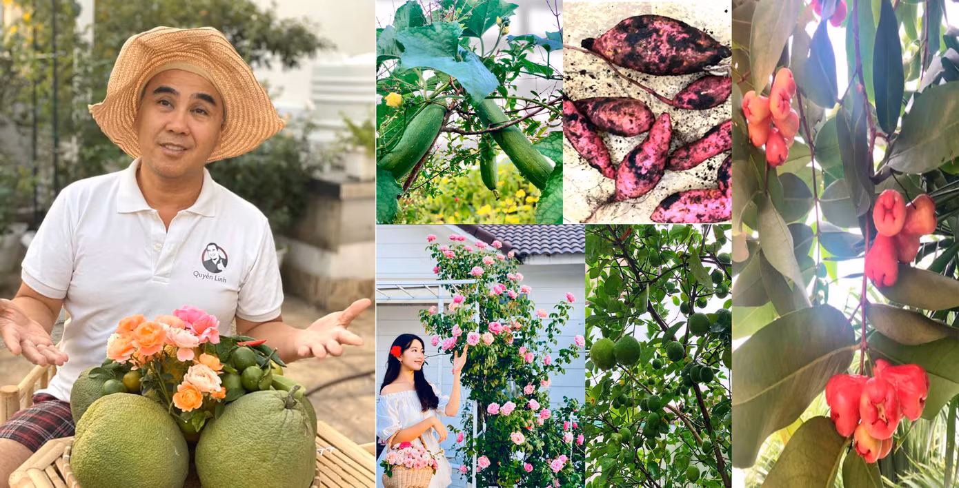 Emily Feld mặt thiên thần, thân hình 'bỏng rẫy' gây chao đảo ở tuổi 17 ảnh 14 Emily Feld mặt thiên thần, thân hình 'bỏng rẫy' gây chao đảo ở tuổi 17 ảnh 14