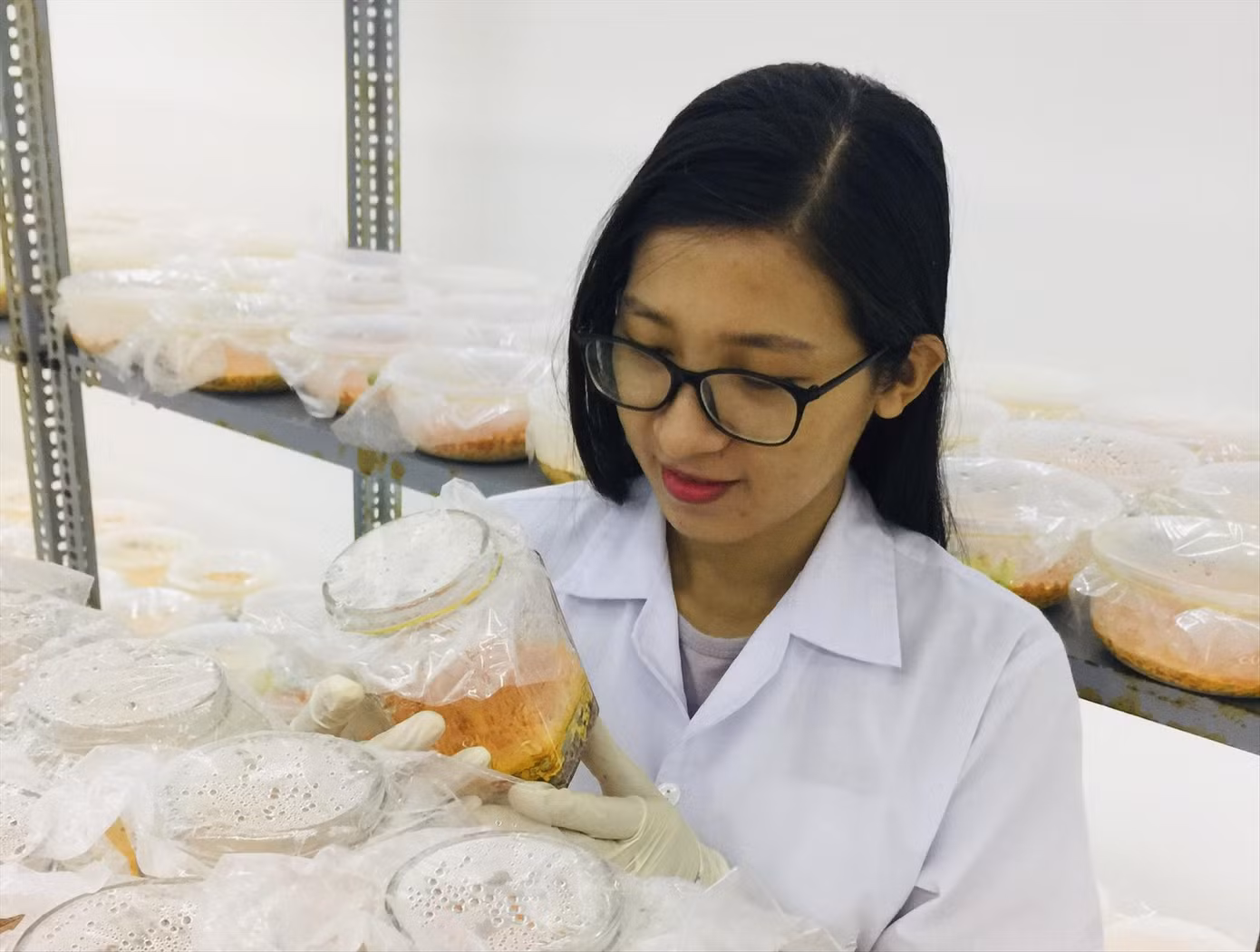 ‘Rái cá’ đường đua xanh khởi nghiệp làm giàu cho quê hương ảnh 8