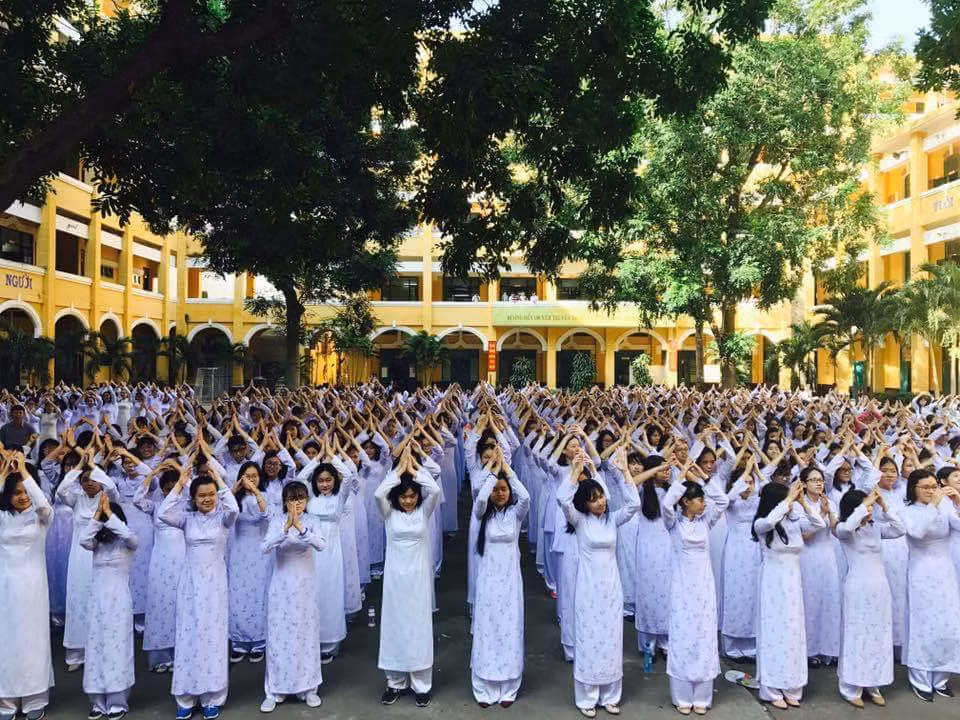 Vụ cây đổ khiến học sinh tử vong: Nguy cơ tiềm ẩn từ cây tuổi đời lâu năm tại các trường ảnh 12