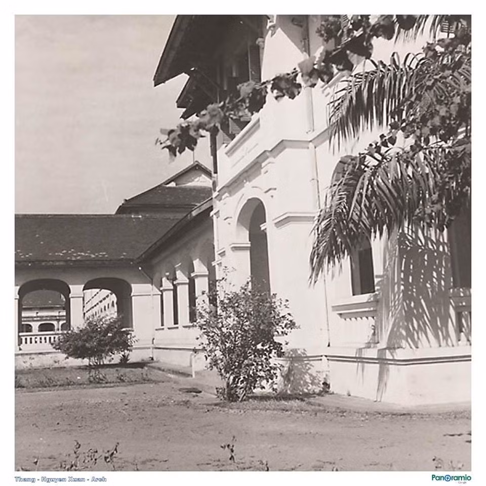 Vụ cây đổ khiến học sinh tử vong: Nguy cơ tiềm ẩn từ cây tuổi đời lâu năm tại các trường ảnh 3