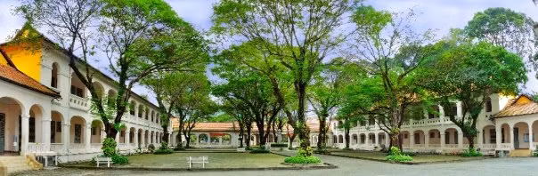 Vụ cây đổ khiến học sinh tử vong: Nguy cơ tiềm ẩn từ cây tuổi đời lâu năm tại các trường ảnh 5