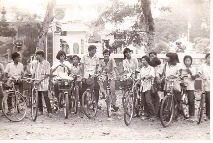 Vụ cây đổ khiến học sinh tử vong: Nguy cơ tiềm ẩn từ cây tuổi đời lâu năm tại các trường ảnh 8