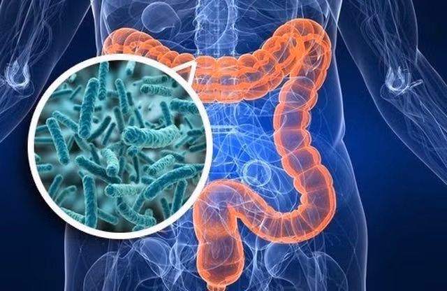 “Điểm danh” 4 sai lầm khiến rối loạn tiêu hóa dai dẳng mãi không khỏi ảnh 1