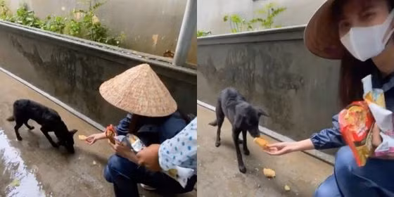 Trác Thuý Miêu bỏ về ngay trước thềm sự kiện; Ngọc Hiền khoe mặt mộc đầy tự tin ảnh 20