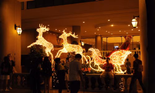 Hà Nội: Bạn đã kịp check-in cùng “cây măng Noel” đẹp như ở trời Âu chưa? ảnh 7