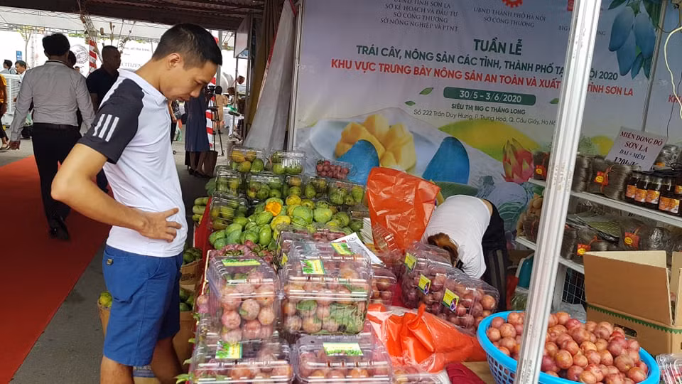 Vào hè, trái cây vùng miền đổ bộ hội chợ trái cây, nông sản Hà Nội ảnh 2