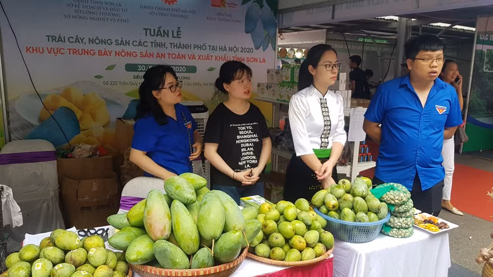 Vào hè, trái cây vùng miền đổ bộ hội chợ trái cây, nông sản Hà Nội ảnh 4