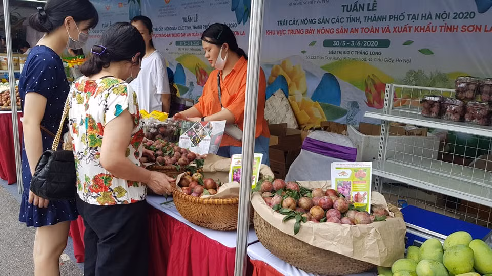 Vào hè, trái cây vùng miền đổ bộ hội chợ trái cây, nông sản Hà Nội ảnh 5