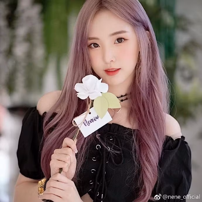 Vừa debut, Nene Trịnh Nãi Hinh đã bị dân mạng Trung Quốc tố sống hai mặt, sự tình ra sao? ảnh 3