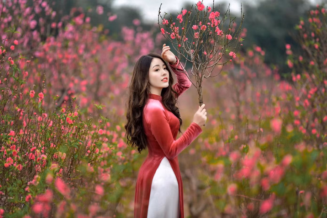 Duyên dáng trong tà áo dài, 9X Phú Thọ "xinh như mộng" trước thềm năm mới ảnh 3