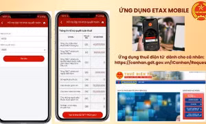 Hơn 95% hồ sơ hoàn thuế tự động, vì sao tiền chưa về tài khoản?