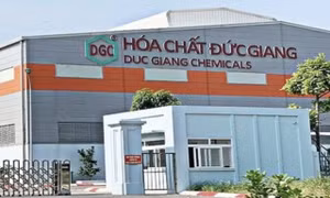 Sắc đỏ bao trùm, cổ phiếu Hoá chất Đức Giang vẫn tăng kịch trần