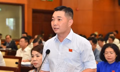 Ông Lê Trương Hải Hiếu làm Phó trưởng Ban Tổ chức Thành ủy TPHCM