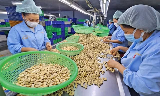 Nhiều thị trường thay đổi quy định nhập khẩu nông sản, thực phẩm