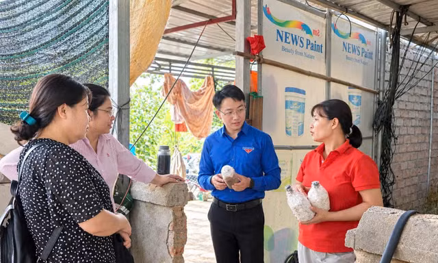 Mạch chảy tín dụng chính sách tại Phú Thọ: Từ nguồn vốn đến những sinh kế bền vững