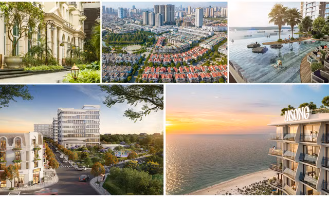 Văn Phú lọt Top 10 thương hiệu bất động sản giá trị nhất Việt Nam 2025