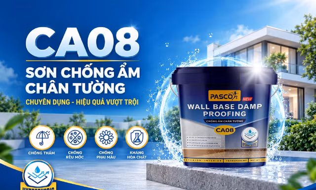Pasco ra mắt CA08 - giải pháp mới cho nỗi lo ẩm chân tường trong công trình Việt