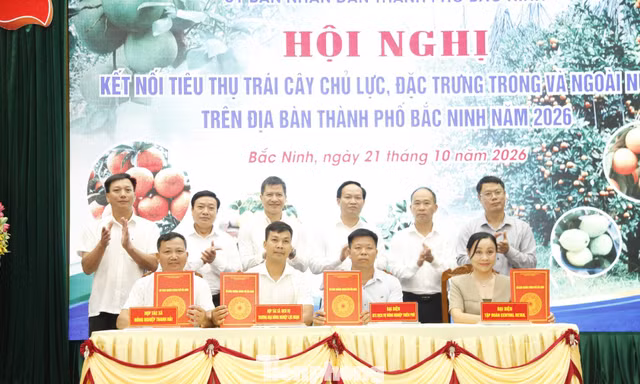 Bắc Ninh xúc tiến tiêu thụ trái cây chủ lực