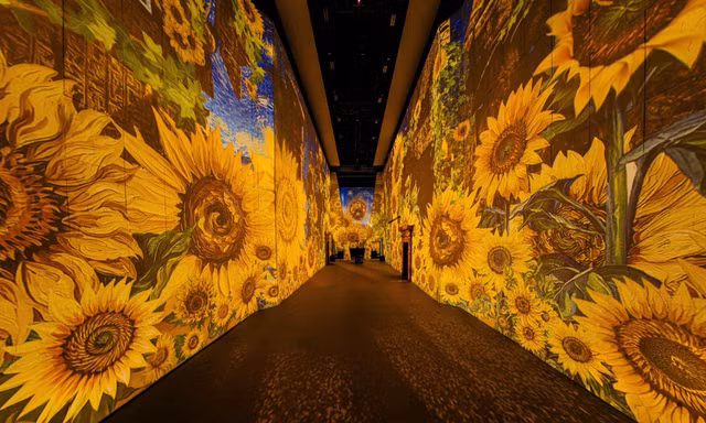 Một thế giới đầy sắc màu cho con trong dịp nghỉ lễ 2/9 với Van Gogh Timeless