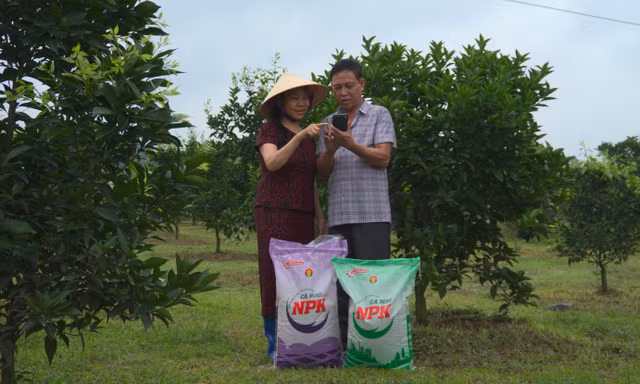 “Mùa Vàng Thắng Lớn 2026” lan tỏa sắc vui khắp mọi nẻo đường quê hương 