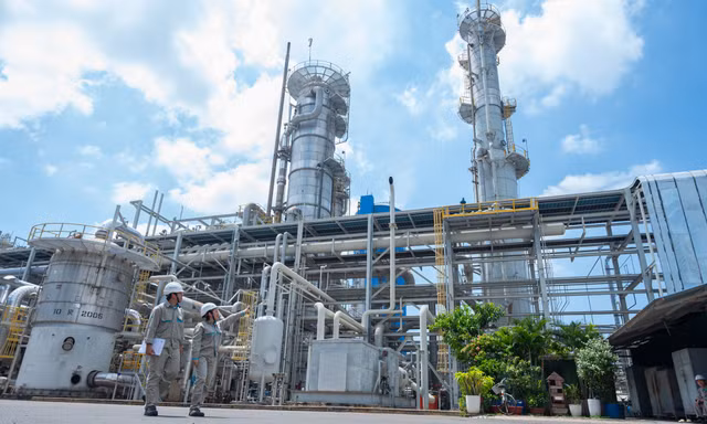 PVFCCo – Phú Mỹ vào Top 50 Doanh nghiệp Dẫn đầu ESG Việt Nam 2026
