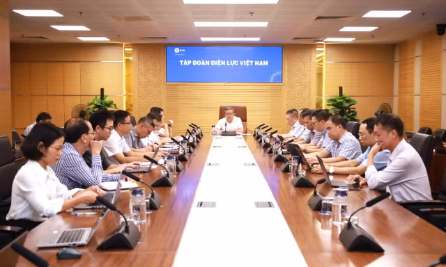 EVNPMB1 tập trung tháo gỡ vướng mắc, tăng tốc các dự án trọng điểm