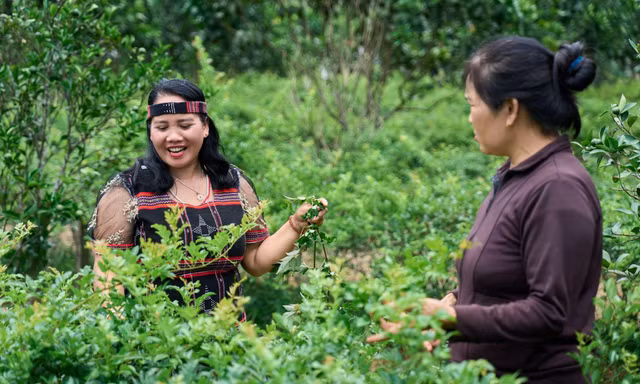 Phụ nữ và những bước chuyển xanh từ cộng đồng