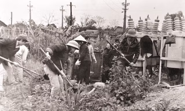 Giữ sáng Hà Nội bằng cả tuổi xuân