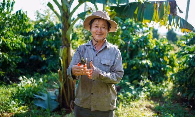 Rainforest Alliance thúc đẩy nông nghiệp tái sinh, phục hồi hệ sinh thái