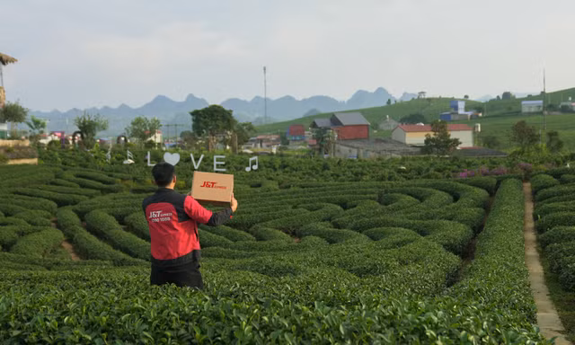 J&T Express hỗ trợ hộ kinh doanh chè Thái Nguyên từ quản lý đơn đến giao nhận