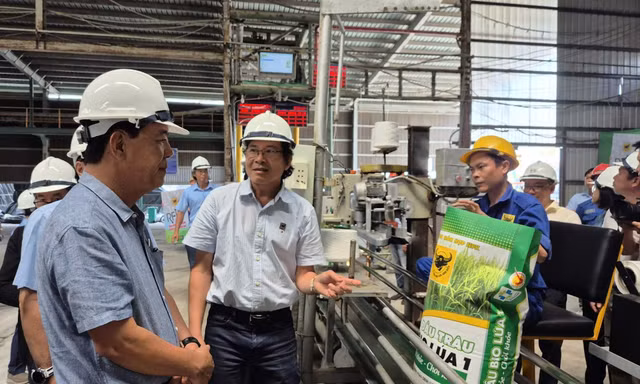 Phân bón Đầu Trâu có 'căn cước số', nông dân dễ truy xuất nguồn gốc