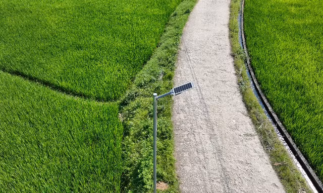 Signify Việt Nam mang ánh sáng năng lượng mặt trời đến 15 xã khó khăn tại Tuyên Quang
