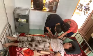 Người phụ nữ ở Quảng Trị bị ong vò vẽ đốt đến hôn mê 