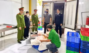 Lực lượng chức năng kiểm tra, phát hiện sản phẩm động vật không rõ nguồn gốc, xuất xứ.