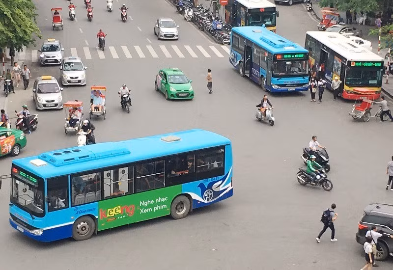 170a-cat.jpg