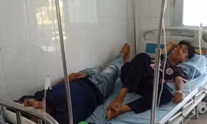 Ăn nấm rừng, người chồng tử vong, 3 mẹ con vẫn đang nhập viện