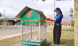 Khi giữ màu xanh trở thành nếp sống