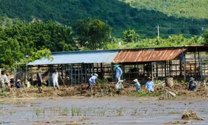 Chủ hồ chứa nước bị vỡ làm chết người ở Lâm Đồng lên tiếng