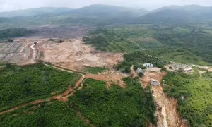 Toàn cảnh dự án Trang trại Việt Phong Phú trên núi Tân Lai.